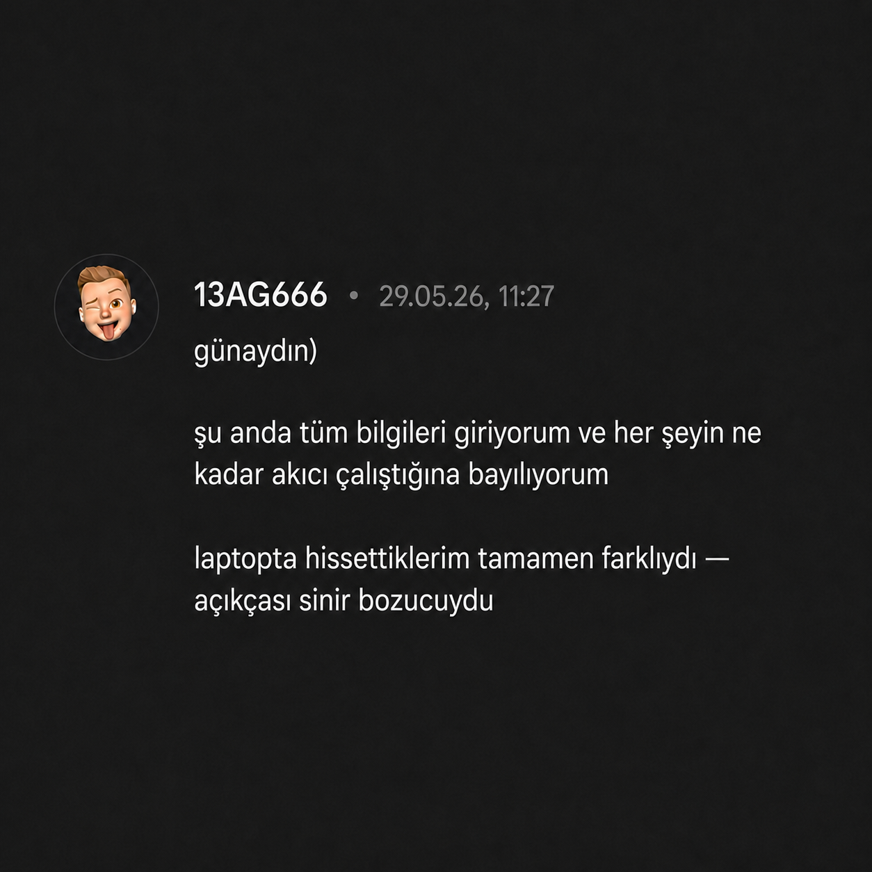13AG666 review